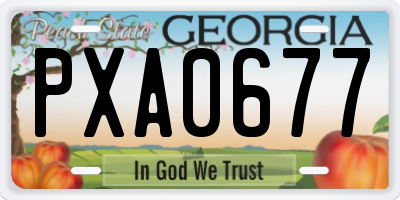 GA license plate PXA0677
