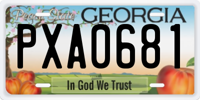 GA license plate PXA0681