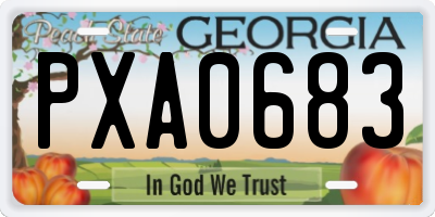 GA license plate PXA0683