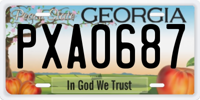 GA license plate PXA0687