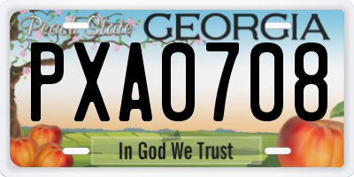 GA license plate PXA0708