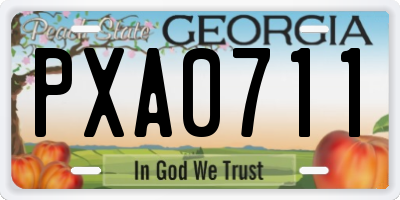 GA license plate PXA0711