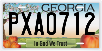 GA license plate PXA0712