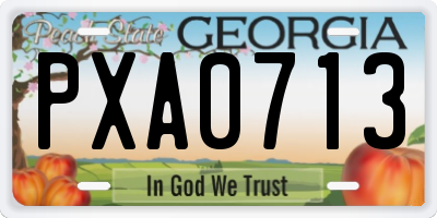 GA license plate PXA0713