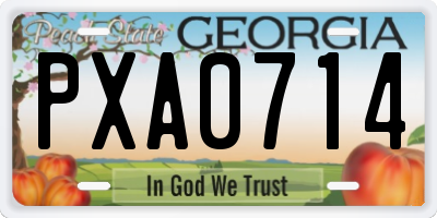 GA license plate PXA0714