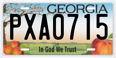 GA license plate PXA0715