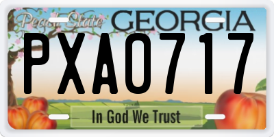 GA license plate PXA0717