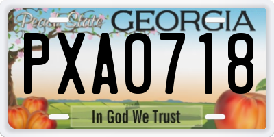 GA license plate PXA0718