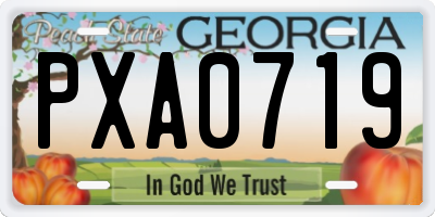 GA license plate PXA0719