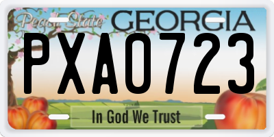 GA license plate PXA0723