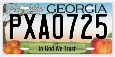 GA license plate PXA0725