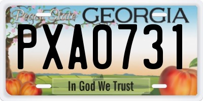GA license plate PXA0731