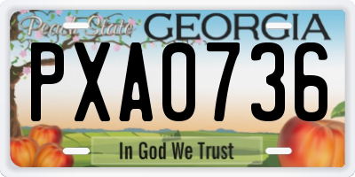 GA license plate PXA0736