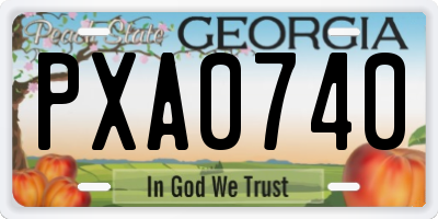 GA license plate PXA0740