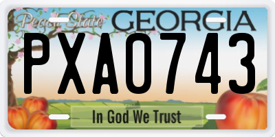 GA license plate PXA0743
