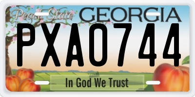 GA license plate PXA0744