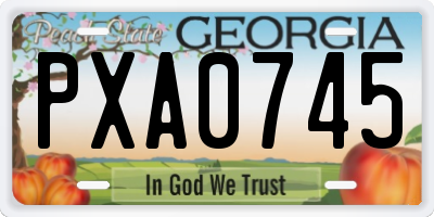 GA license plate PXA0745