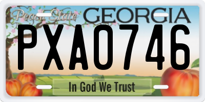 GA license plate PXA0746