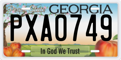 GA license plate PXA0749