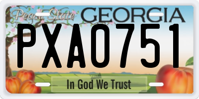 GA license plate PXA0751