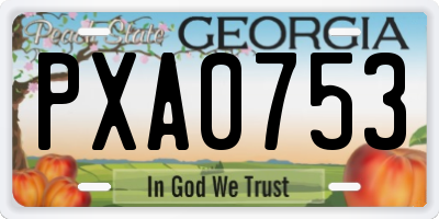 GA license plate PXA0753