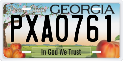 GA license plate PXA0761