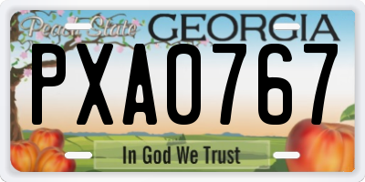 GA license plate PXA0767