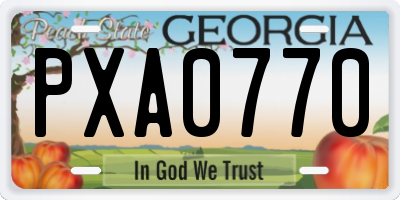 GA license plate PXA0770