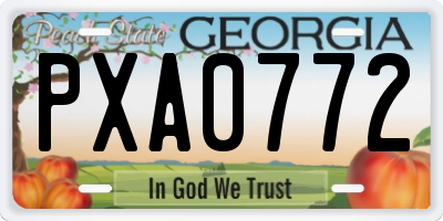 GA license plate PXA0772