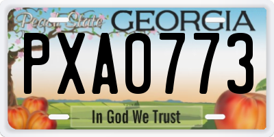 GA license plate PXA0773