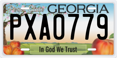 GA license plate PXA0779