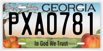 GA license plate PXA0781
