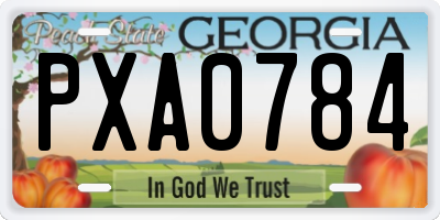 GA license plate PXA0784