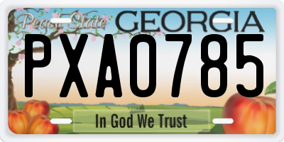 GA license plate PXA0785