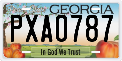 GA license plate PXA0787