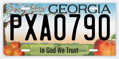GA license plate PXA0790