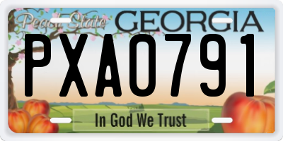 GA license plate PXA0791