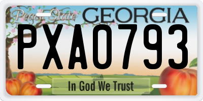 GA license plate PXA0793