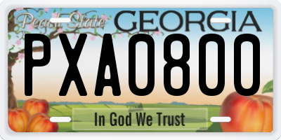 GA license plate PXA0800