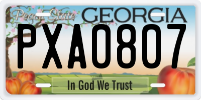 GA license plate PXA0807