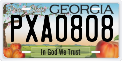 GA license plate PXA0808