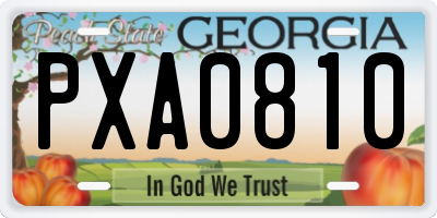 GA license plate PXA0810
