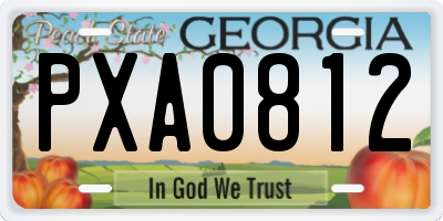 GA license plate PXA0812