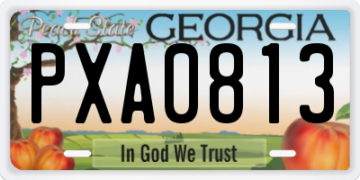 GA license plate PXA0813