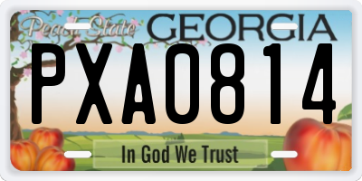 GA license plate PXA0814