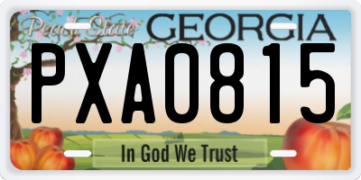 GA license plate PXA0815