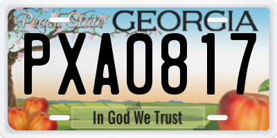 GA license plate PXA0817