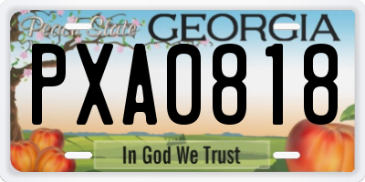 GA license plate PXA0818