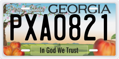 GA license plate PXA0821