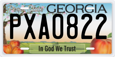 GA license plate PXA0822